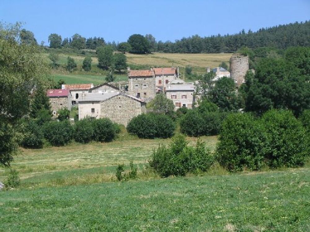  Gîte en Lozère avec vraie cheminée Languedoc-Roussillon, Le Malzieu-Forain (48140)