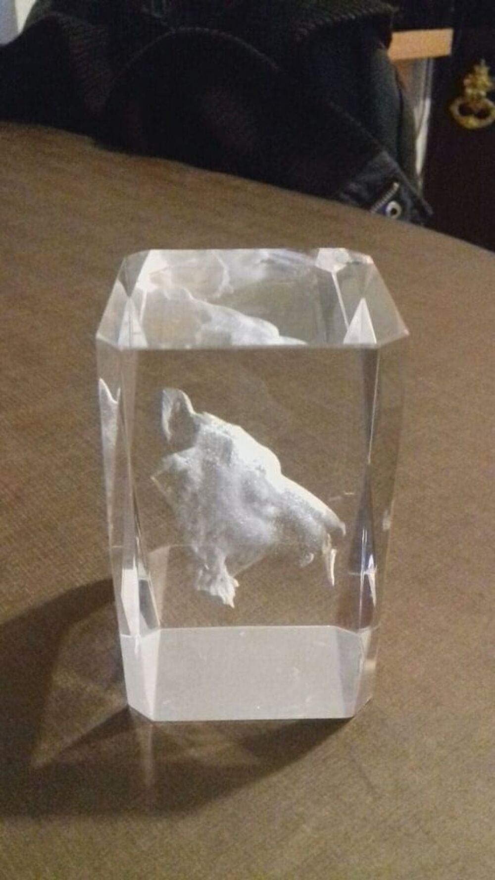 Bloc Vertical tete ours Grav&eacute;s en 3D dans le verre 80*50*50 Décoration