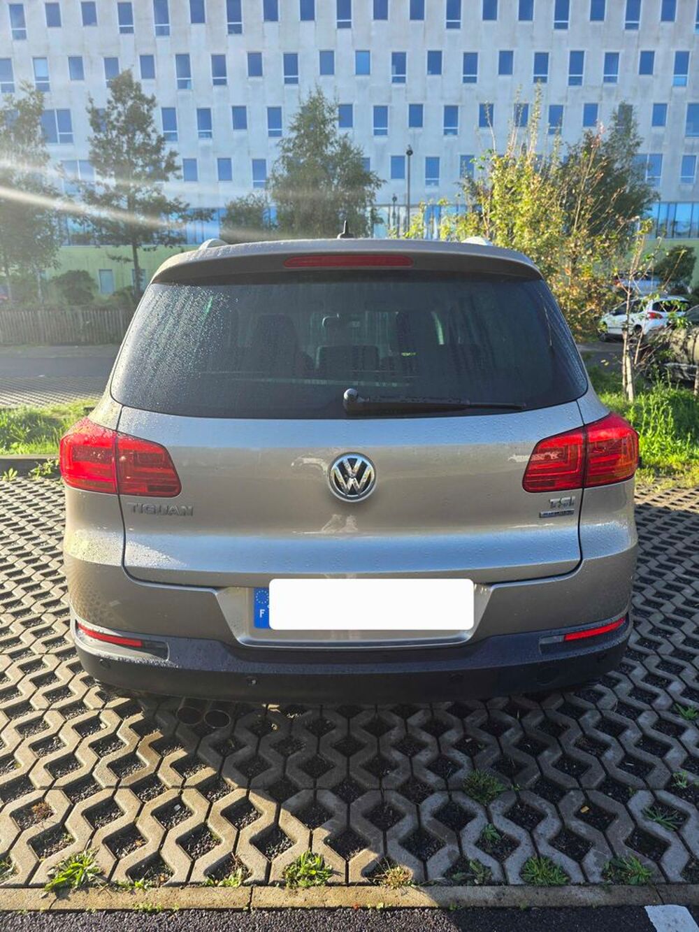 Tiguan 1.4 TSI 150 Bluemotion Technology 2012 occasion 77420 Champs-sur-Marne