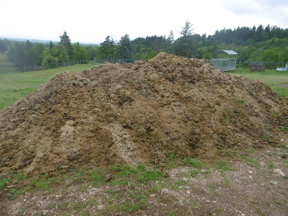 Fumier de cheval Jardin