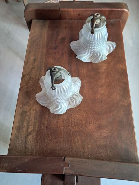 ABAT-JOUR FORME TULIPE 25 Cournonterral (34)