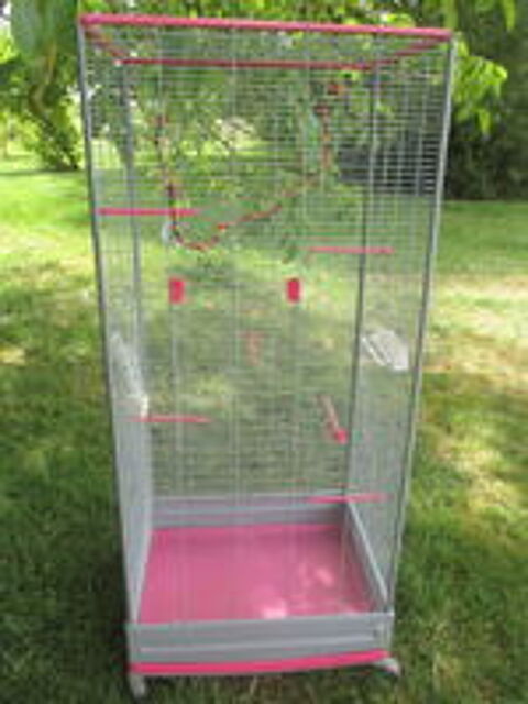  grande cage 
