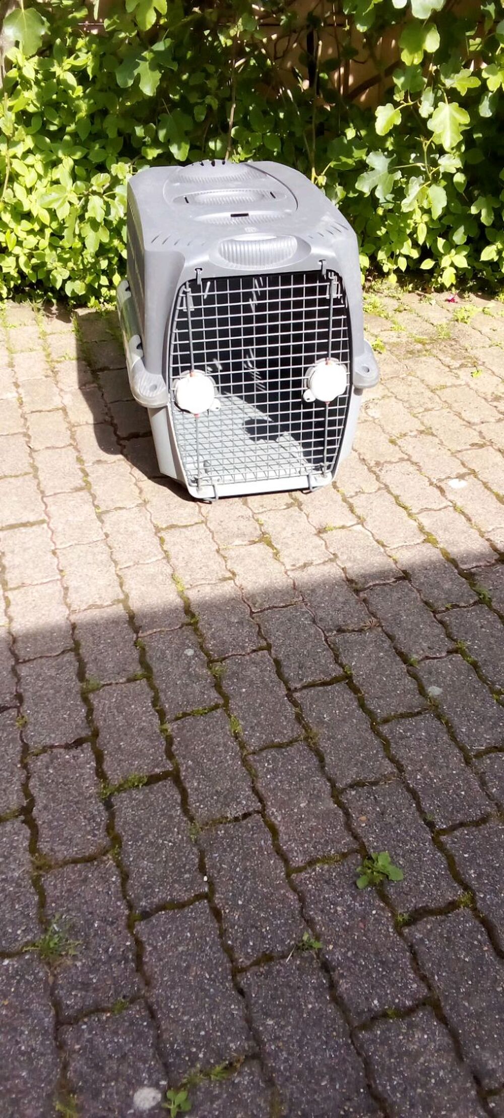   Bote de transport chien jusque 30kgs 