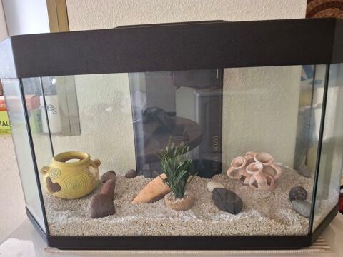 Aquarium et ses accessoires 120 Les Abymes (97)