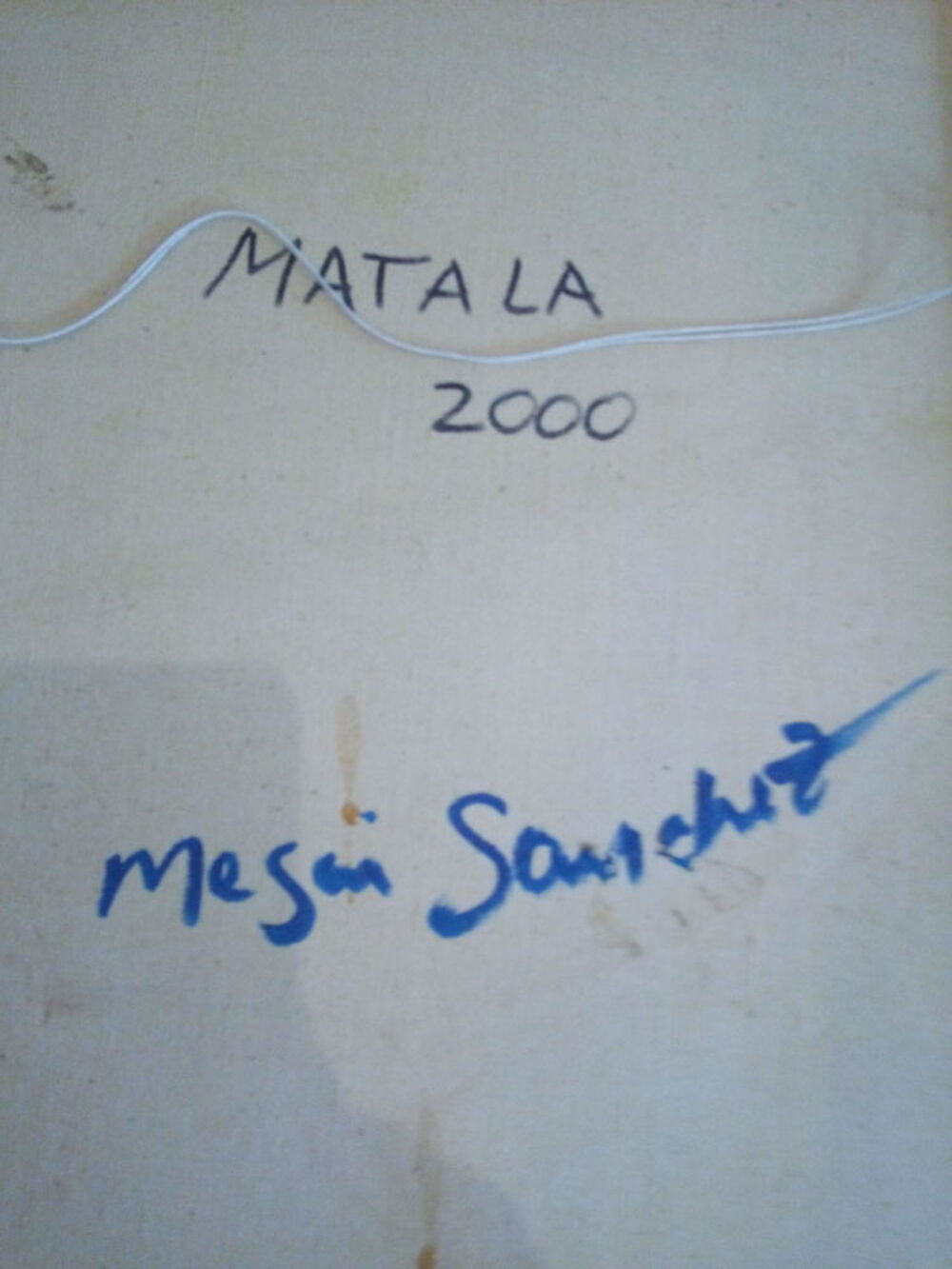 Oeuvre M&eacute;gui Sanchez Décoration