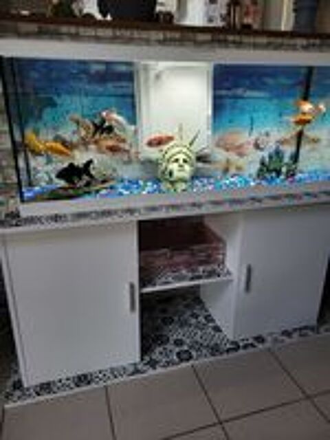   Aquarium complet  