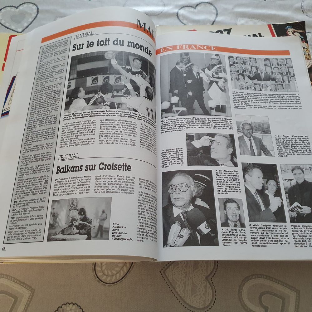 Le journal d'une ann&eacute;e Livres et BD