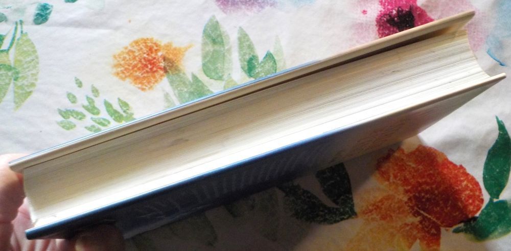 LA NOSTALGIE DE L'ANGE de Alice SEBOLD Ed. France Loisirs Livres et BD