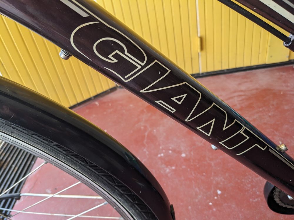 VELO LEGER VILLE GIANT FEMME EN ALU TA Vélos
