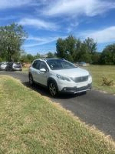 2008 BlueHDi 100ch S&S BVM5 Active Business 2019 occasion 81990 Carlus