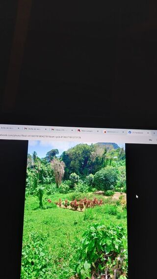  Terrain  vendre 2903 m