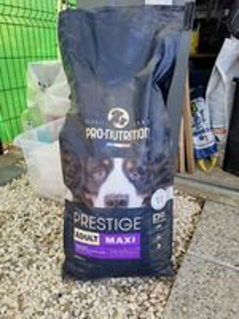   Croquettes pour chien  
