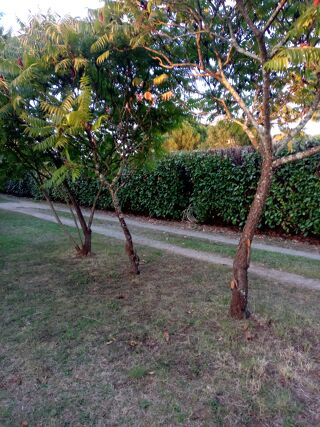  Maison � vendre 14 pi�ces 200 m�