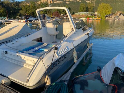 Bateaux à moteur Bateau fluvial 1989 occasion Montalieu-Vercieu 38390