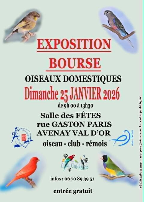 BOURSE AUX OISEAUX 1 51240 Pogny