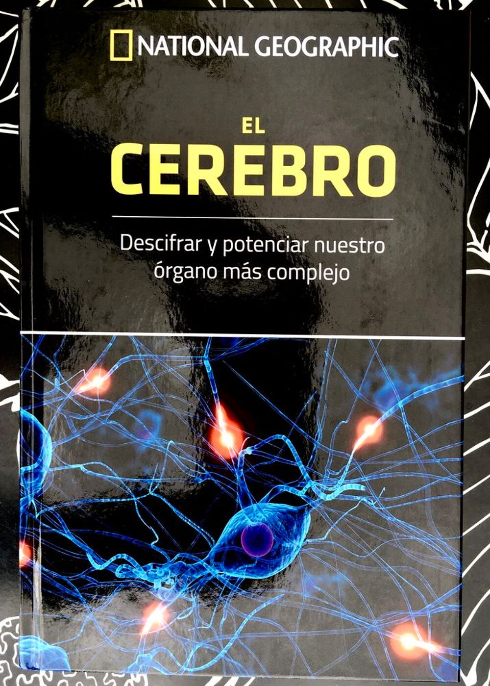 El Cerebro,descifrar y potenciar nuestro &oacute;rgano m&aacute;s complejo Livres et BD