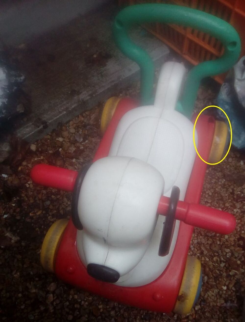 trotteur chien Jeux / jouets