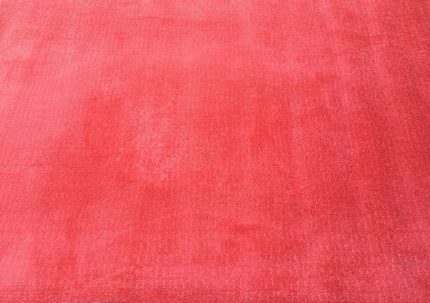 Tapis rouge LANGSTED IKEA 15 Dijon (21)
