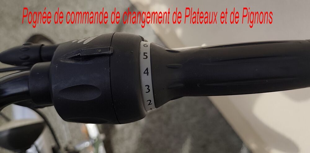 V&eacute;lo femme Vélos
