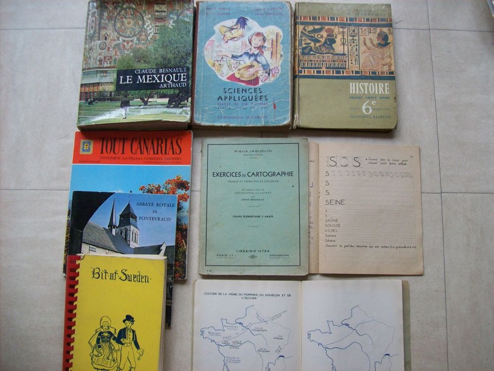 cahier scolaire ancien, + beaux insectes.... zoe Livres et BD