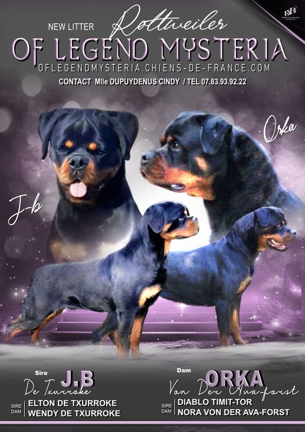   Chiots Rottweiler lof a rserv  