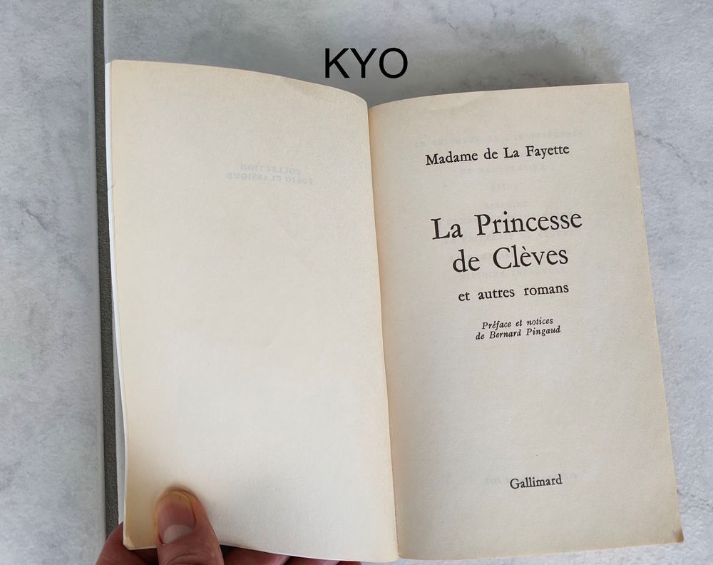 Madame Fayette - La Princesse de Cl&egrave;ves -Tr&egrave;s bon &eacute;tat Livres et BD