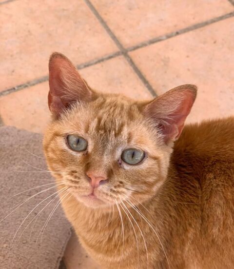 JASPER 220 95610 ragny