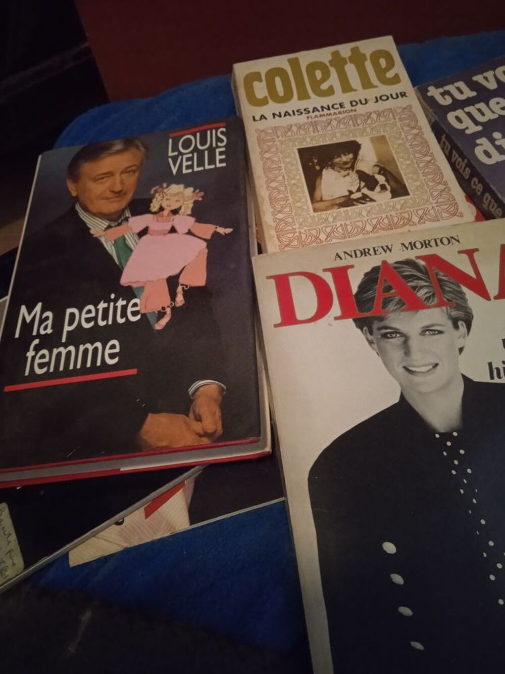 Livres tr&egrave;s bon &eacute;tat .hommage a DIANA 5euro.gilbert montagne Livres et BD