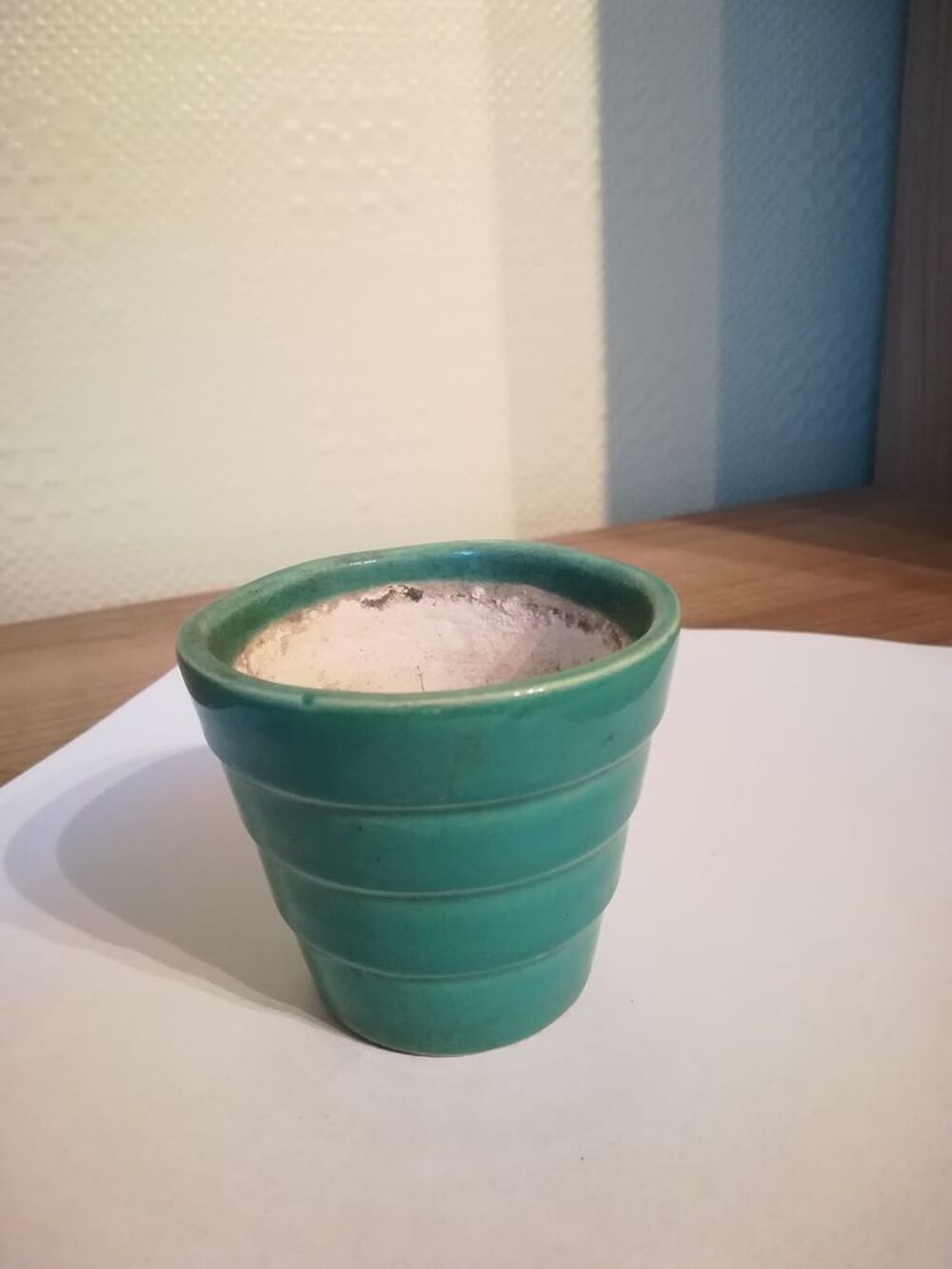 ANCIEN TRES PETIT POT POUR CACTUS OU FLEURS (collection) 
Jardin