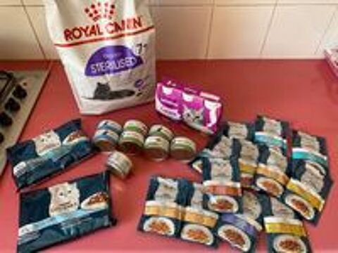   Lot entier neuf pour chats
