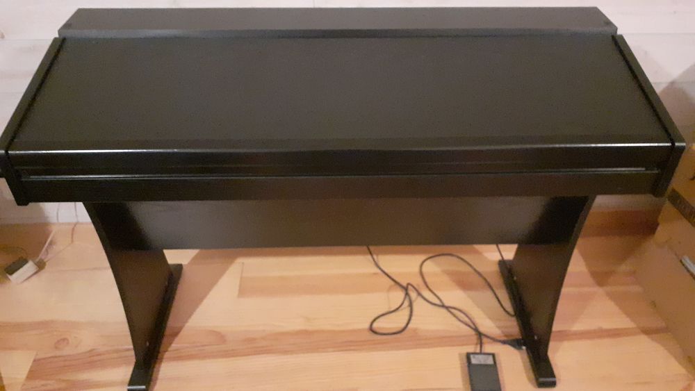 PIANO FUNKEY DP 61-II Instruments de musique