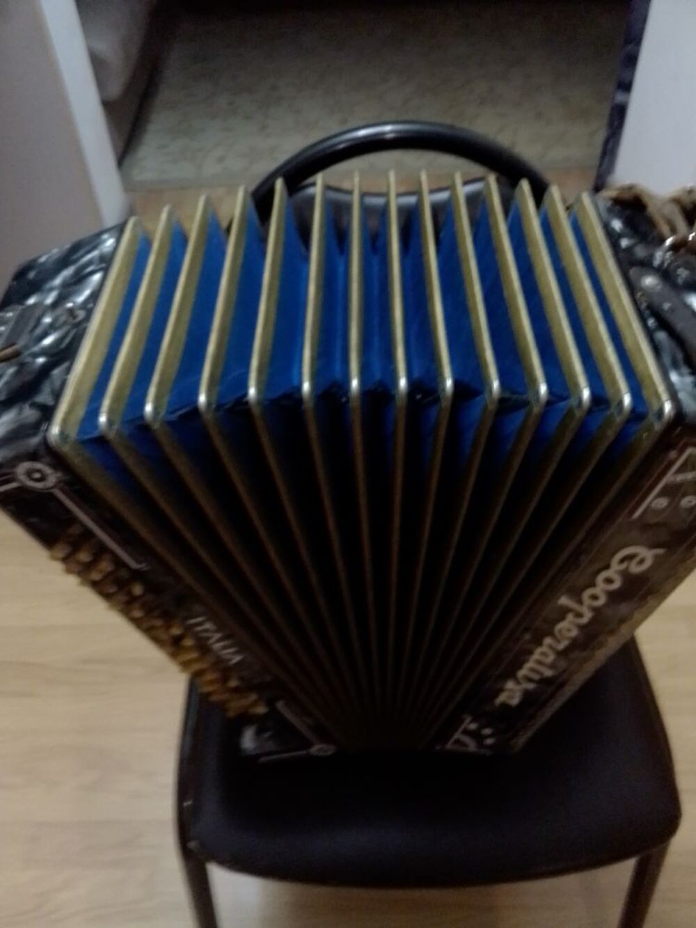 Accord&eacute;on Instruments de musique