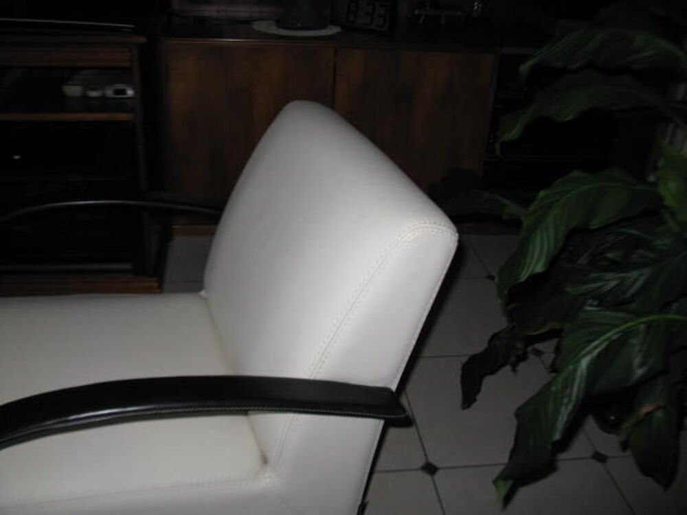 Fauteuils cuir Dcoration