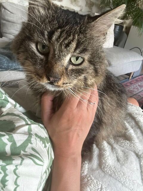 Brigand 190 44000 Nantes