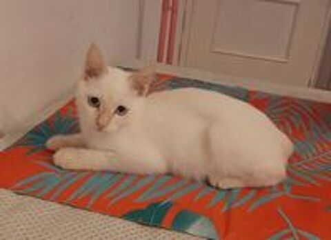   EDUARD 