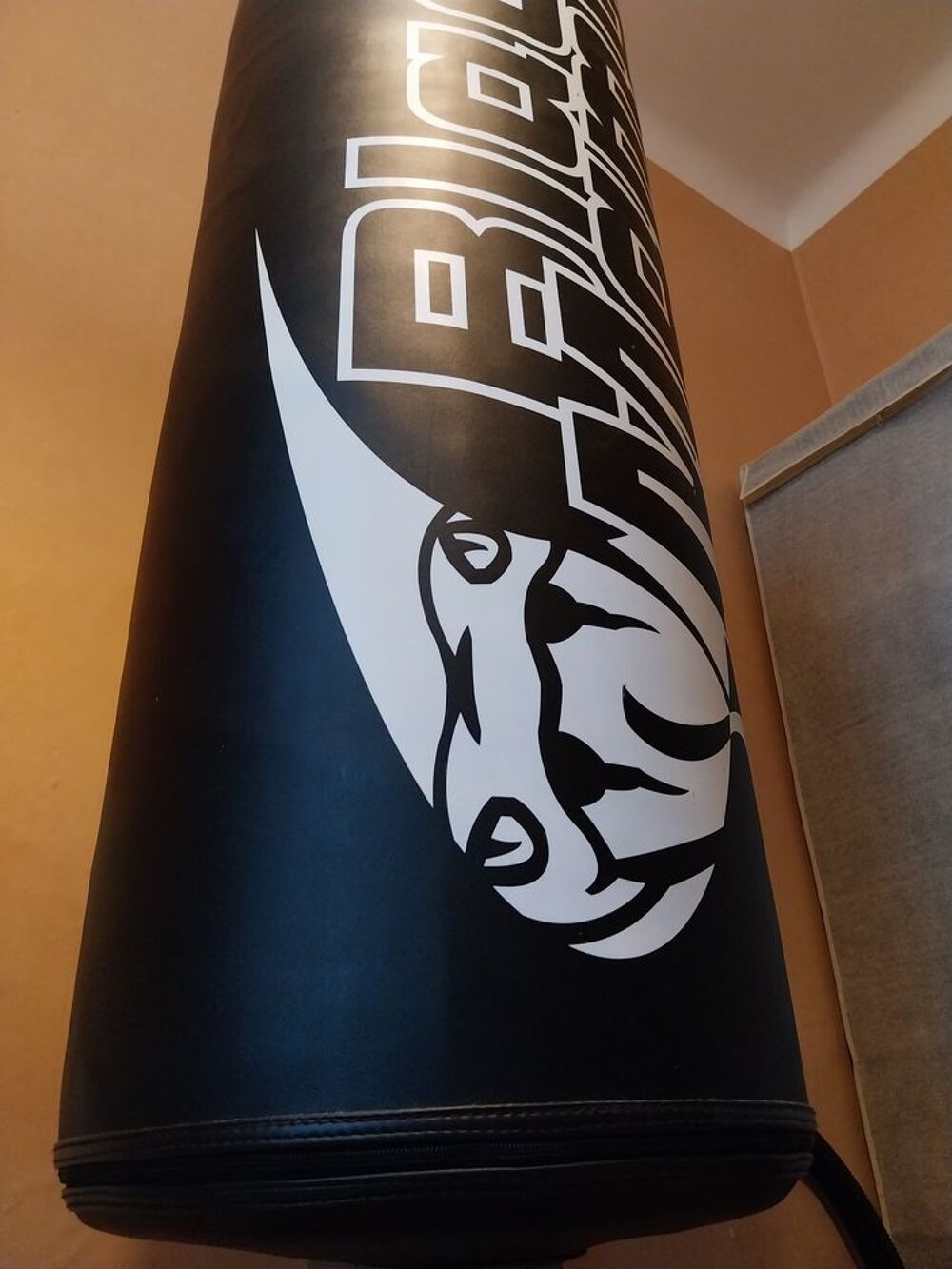 Punching ball Sports