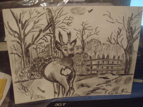 dessin de chevreuil 10 Vellches (86)