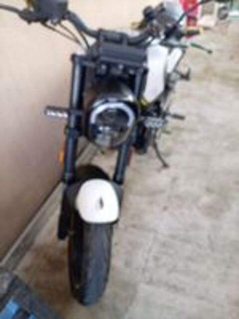 BENELLI 2024 occasion 13870 Rognonas