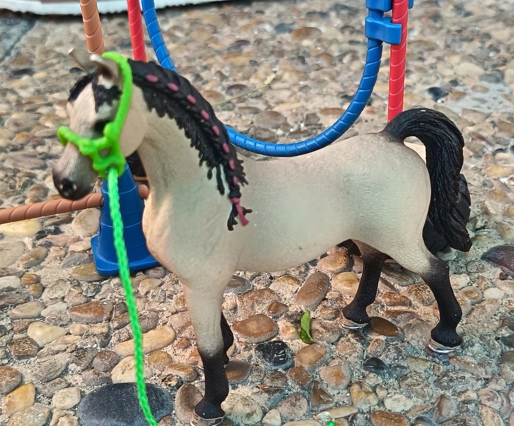 Parcours d'Agility &Eacute;questre SCHLEICH Complet Jeux / jouets