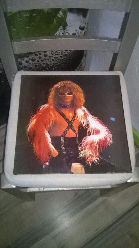 Vinyle Michel Polnareff
1973
Excellent etat
La Fille Qui  5 Talange (57)