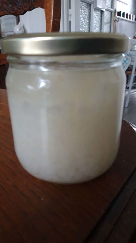 Graines de KEFIR 0 59560 Comines