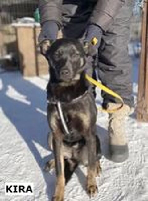   KIRA SE TROUVE DANS UN REFUGE EN UKRAINE 