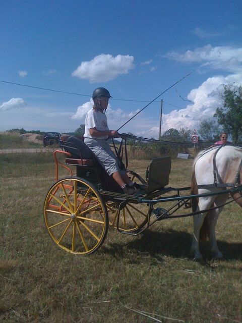 voiture  cheval 600 Teilhde (63)