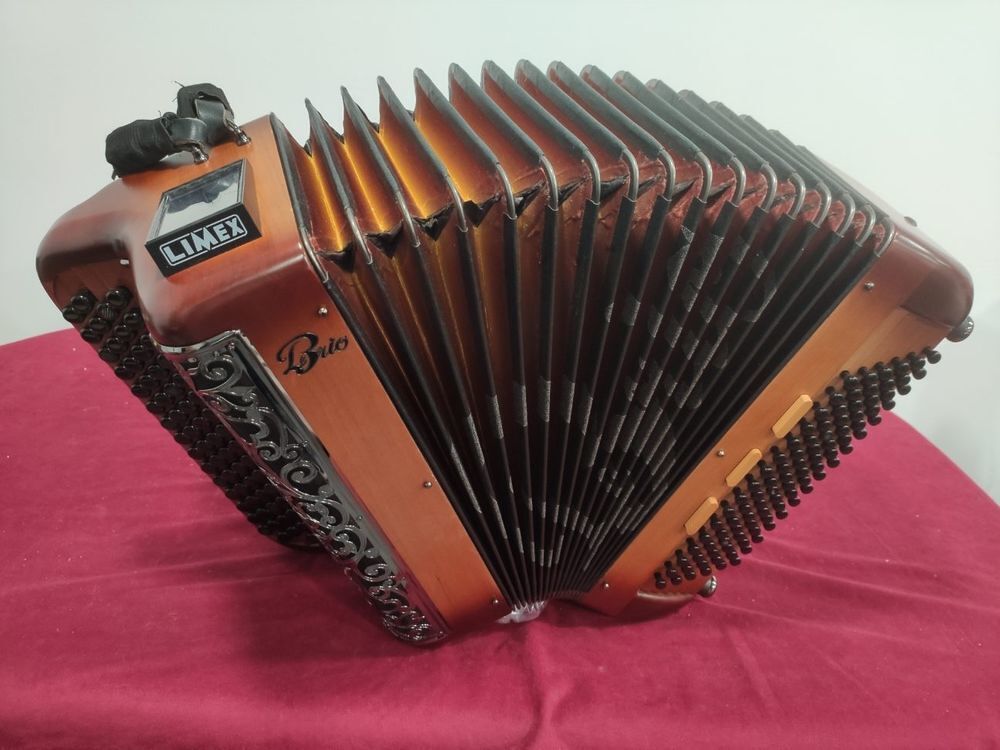 accord&eacute;on Le Brio 3 D Instruments de musique