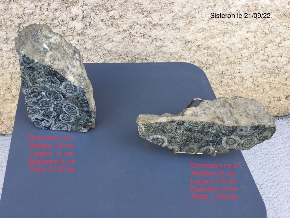 2 pierres diorite orbiculaire de corse 