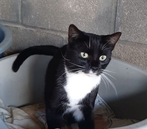 KEIRA 220 27620 Gasny