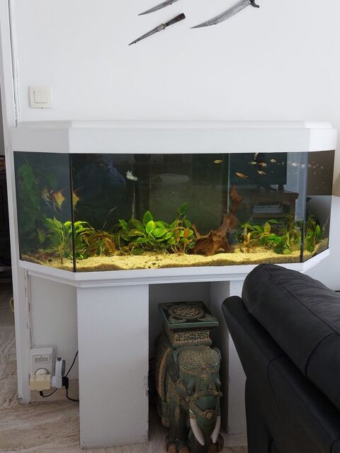 aquarium 300 06400 Cannes