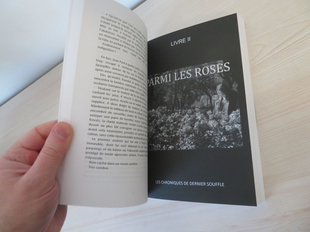 Les Chroniques de Dernier Souffle Roman gothique vampires Livres et BD