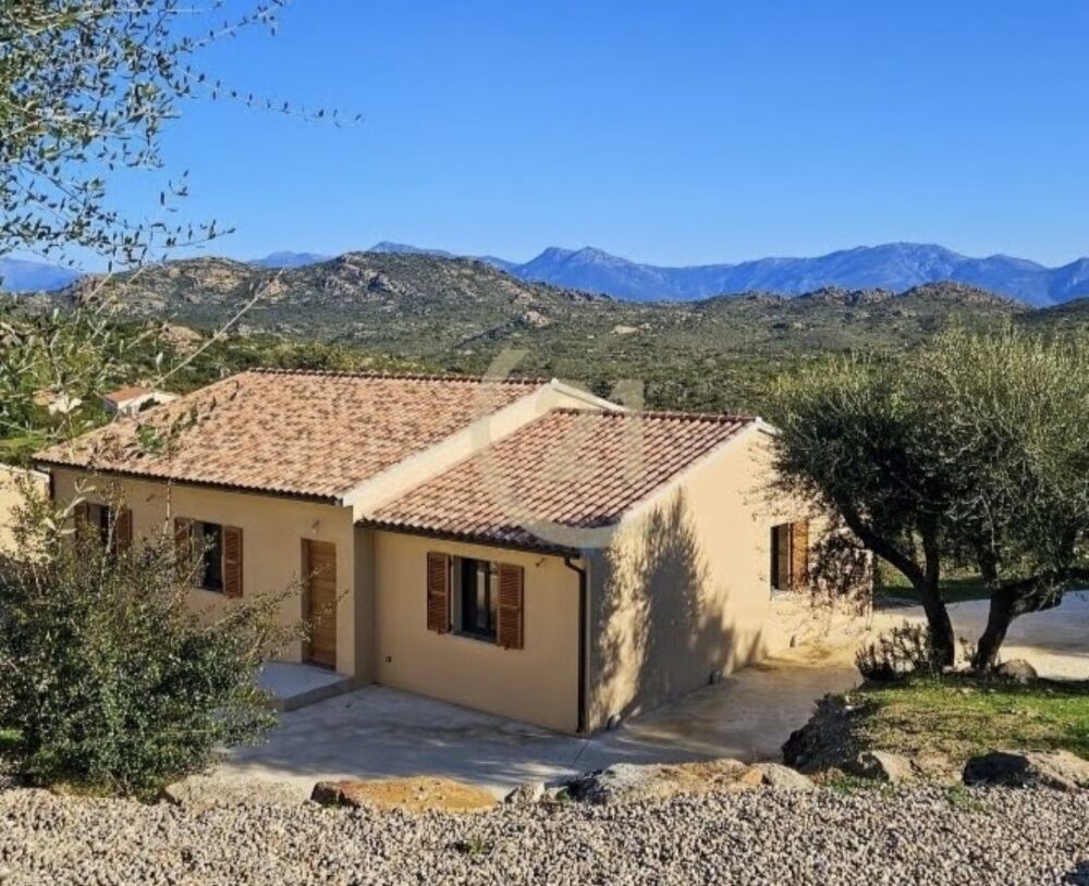 à vendre  Maison Santo-Pietro-di-Tenda (20246)