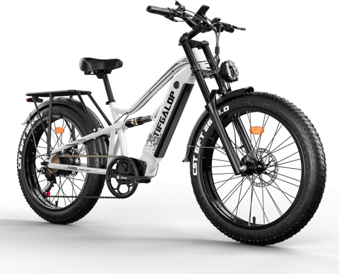 Vlo lectrique VTT 26  0 Sarlat-la-Canda (24)